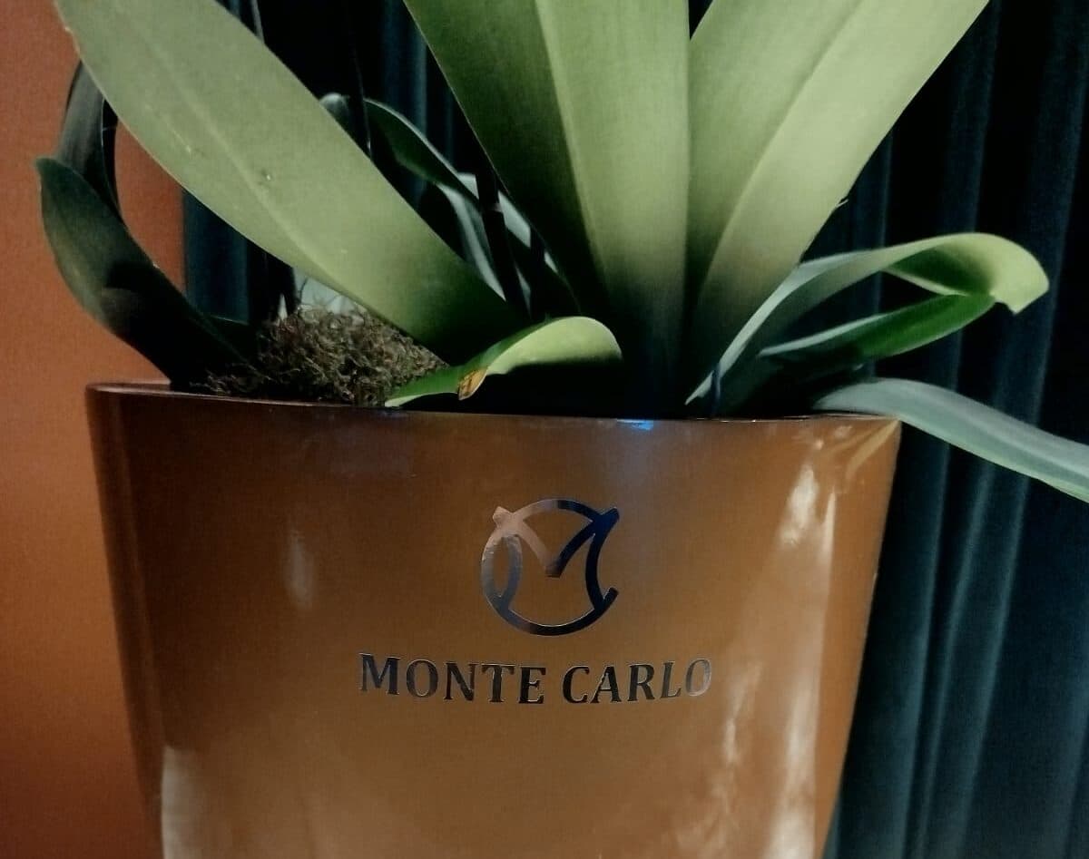 Monte Carlo
